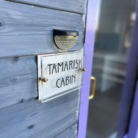 Tamarisk * Bude